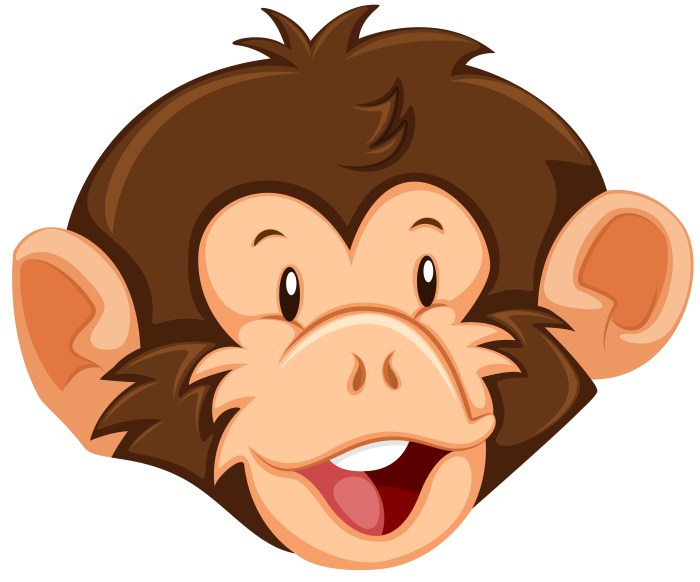 Monkey smiling funny hd vhv